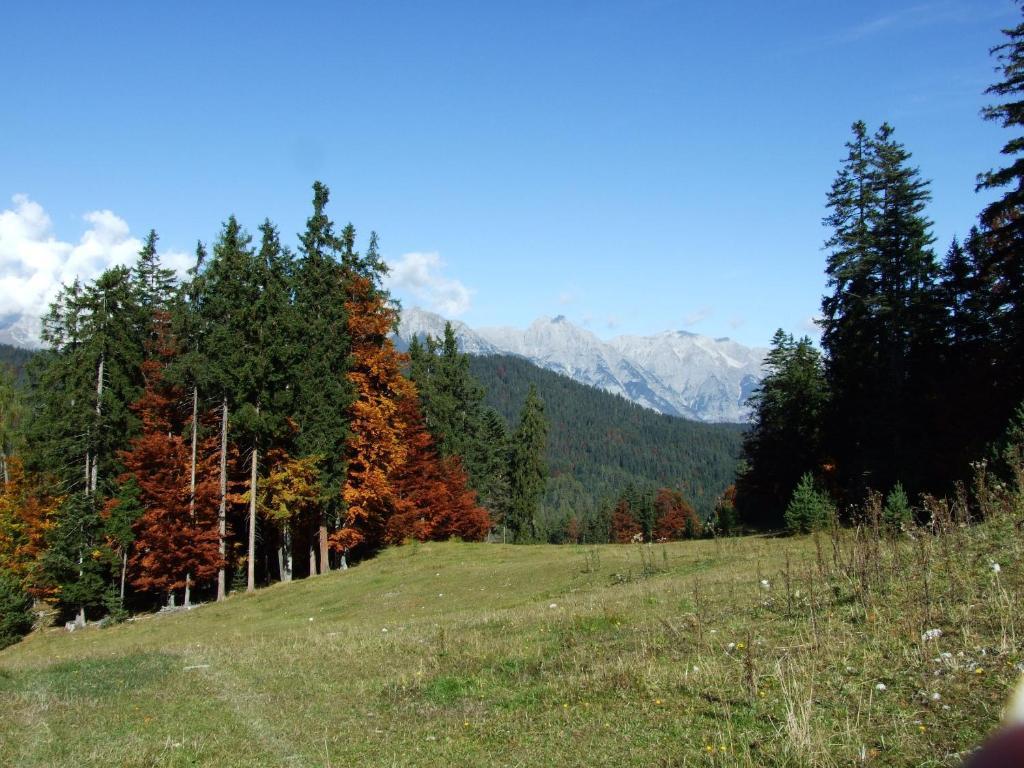 Hotel Menthof Seefeld in Tirol Phòng bức ảnh
