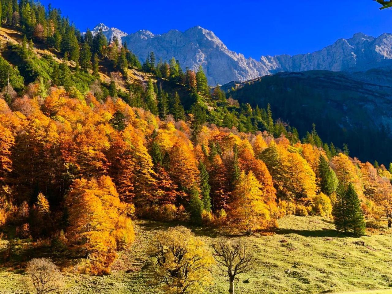 Hotel Menthof Seefeld in Tirol Ngoại thất bức ảnh