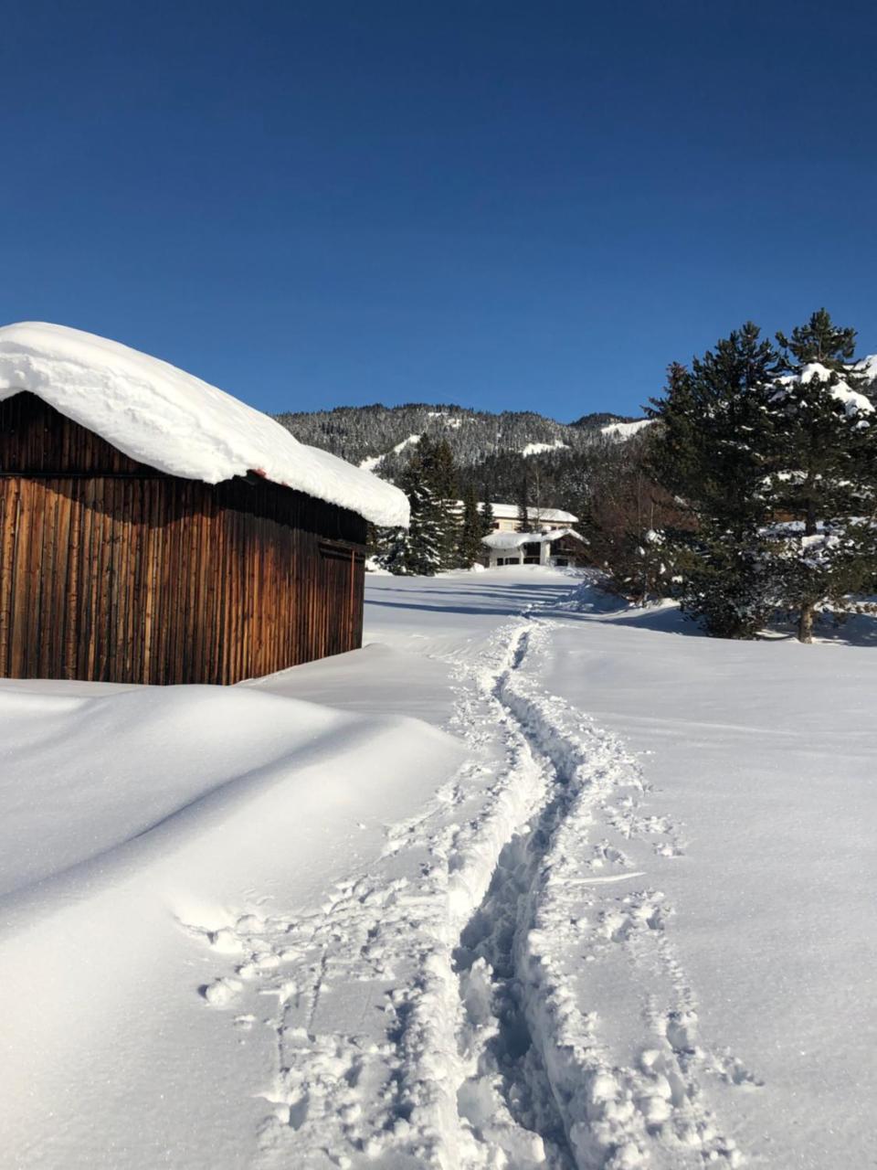 Hotel Menthof Seefeld in Tirol Ngoại thất bức ảnh